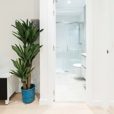 Apartment Cathedral Central Luxury I - Sshousing San Sebastian